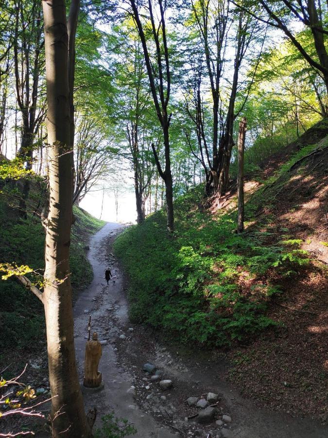 Domki Alefala Jastrzębia Góra Buitenkant foto