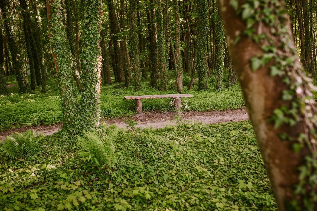 Domki Alefala Jastrzębia Góra Buitenkant foto